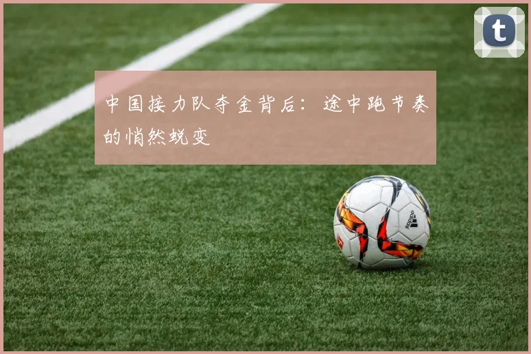 中国接力队夺金背后：途中跑节奏的悄然蜕变