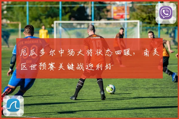 厄瓜多尔中场大将状态回暖，南美区世预赛关键战迎利好