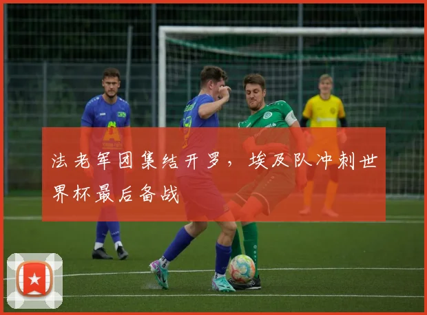 法老军团集结开罗，埃及队冲刺世界杯最后备战