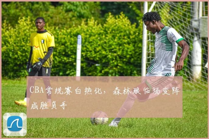 CBA常规赛白热化，森林狼临场变阵成胜负手